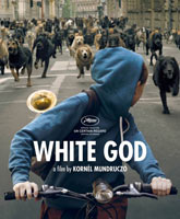 Смотреть Онлайн Белый Бог / Feher isten [2014]